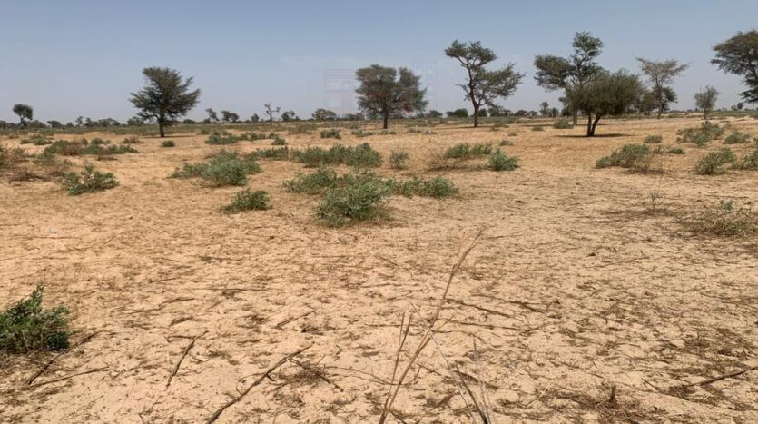 Terrain agricole de 2,88 hectares à 2km de la route national3 Thiès-Touba. Diwaan Immo