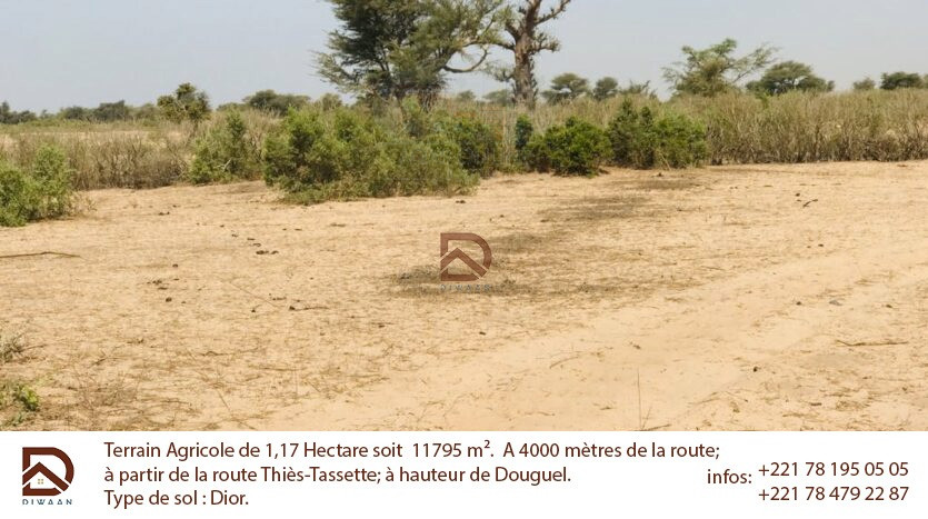 Terrain agricole de 1 hectare. Diwaan Immo