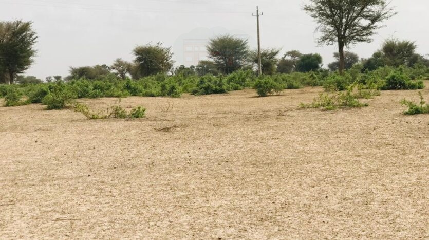 Terrain agricole de 8,2 hectares. Diwaan Immo