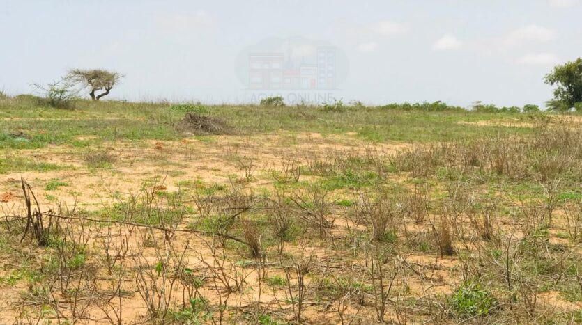 Terrain agricole de 8,2 hectares. Diwaan Immo